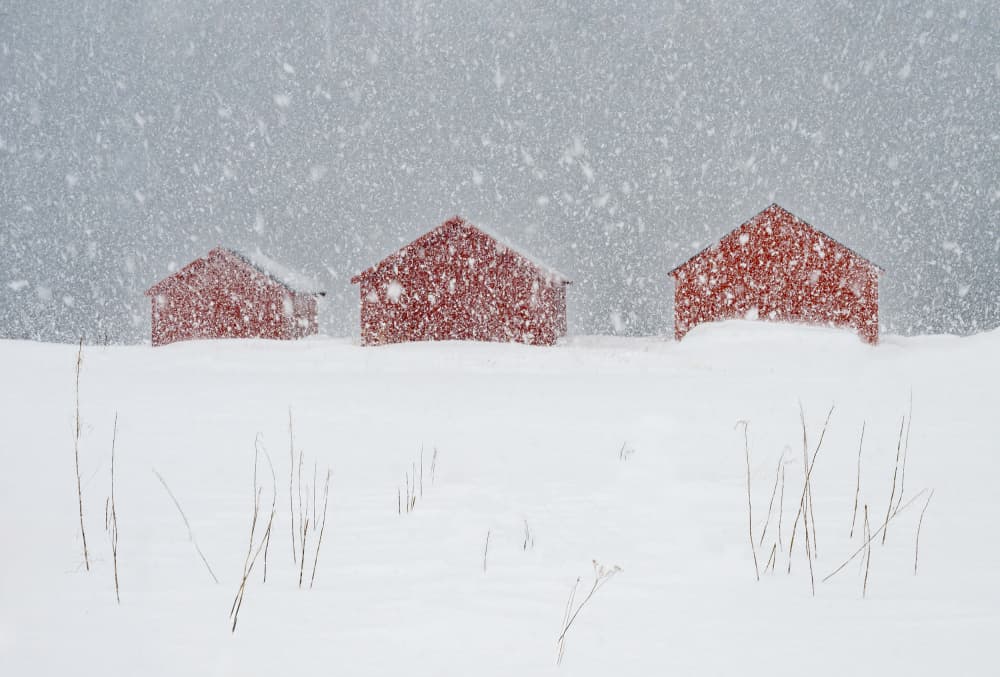 Red Barns Winter Snow by Ann Cornelis — canvas wall art