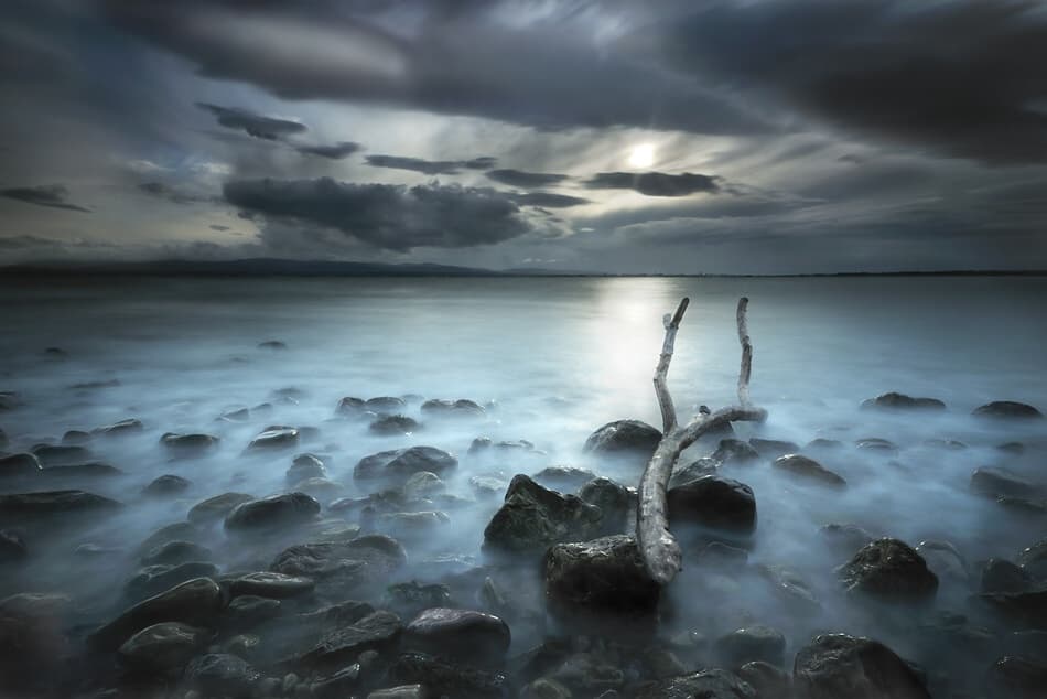Misty Driftwood Shore