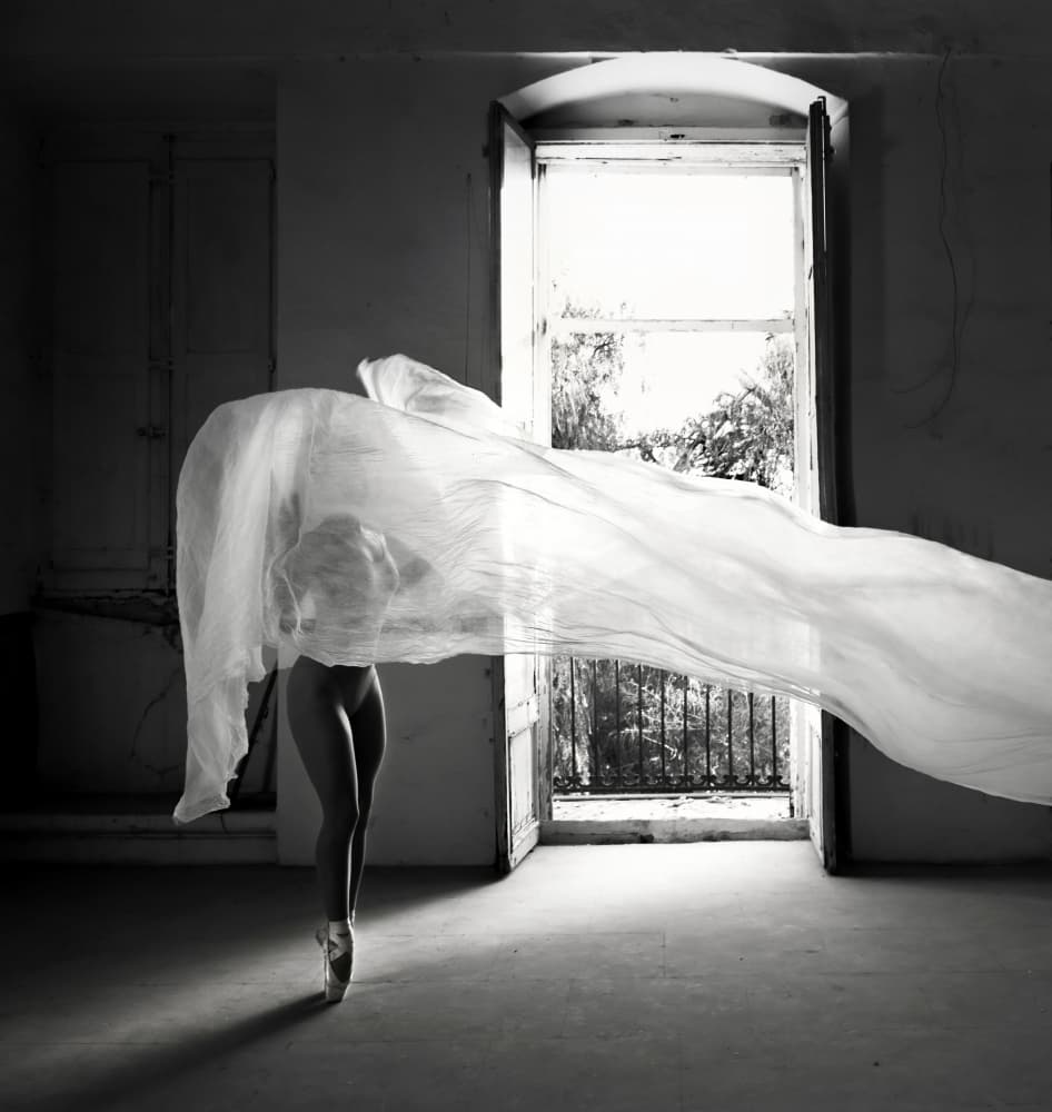 Ethereal Ballet Movement by Renata Apanaviciene — canvas wall art