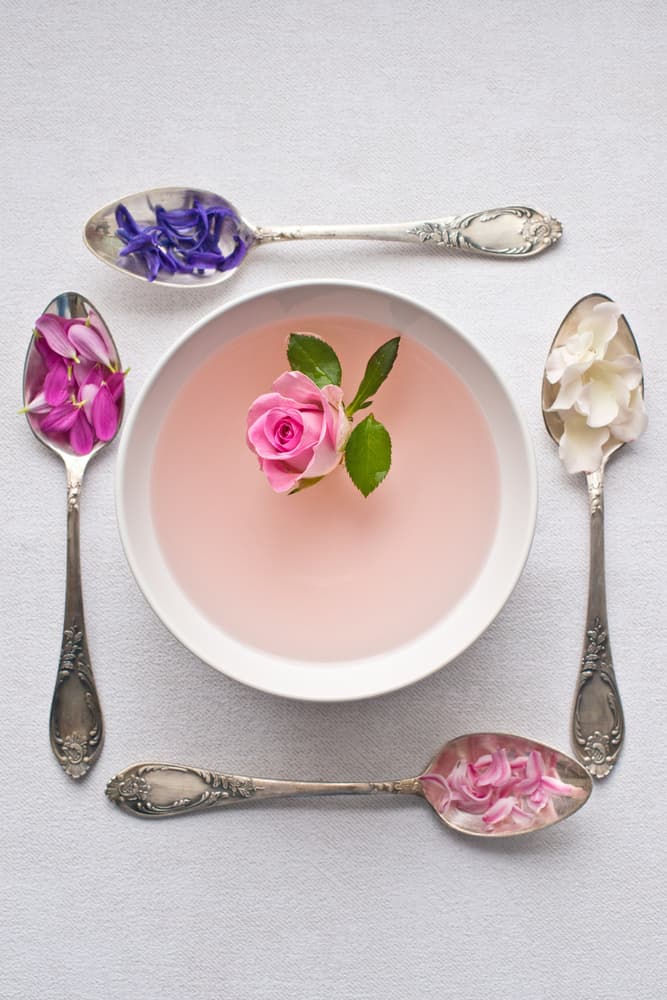 Rose Petal Serenity by Elena Karagyozova — canvas wall art