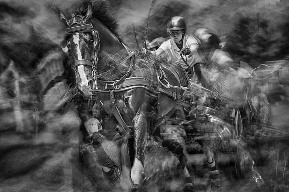 Racing Horse Blur by Milan Malovrh — canvas wall art