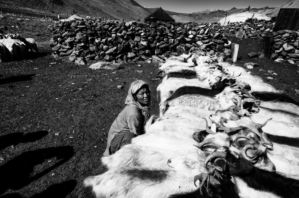 Mountain Woman Hides by Joxe Inazio Kuesta Garmendia — canvas wall art