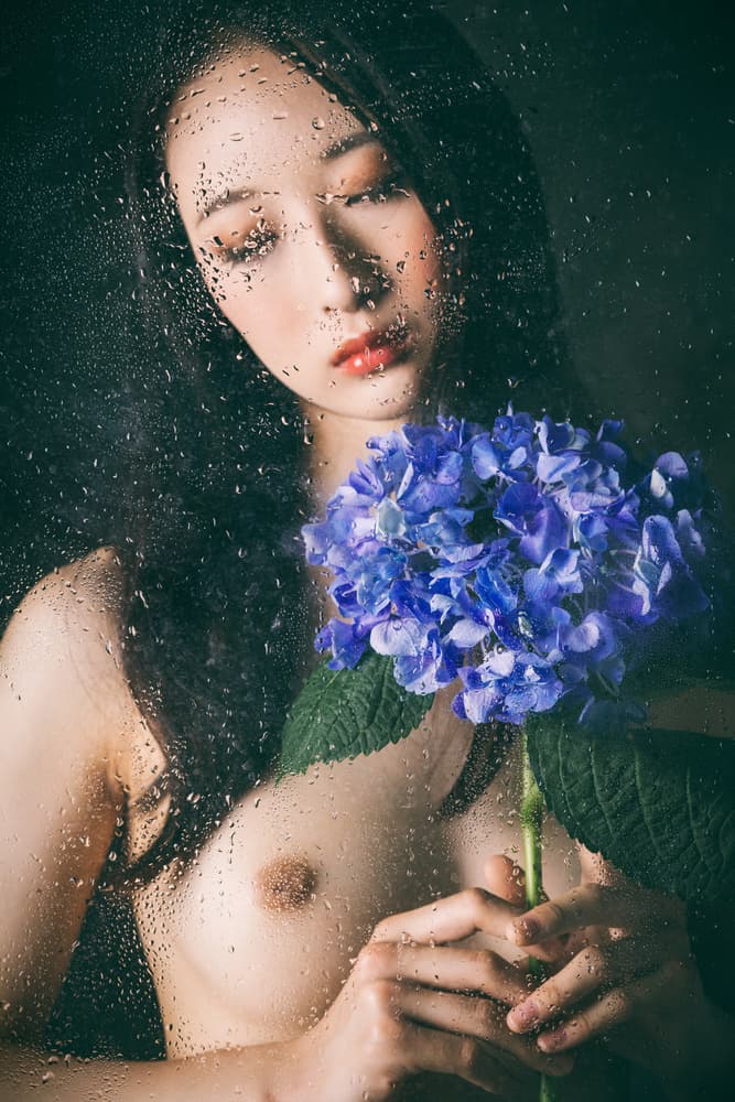 Hydrangea -Maria- by Daisuke Kiyota — canvas wall art