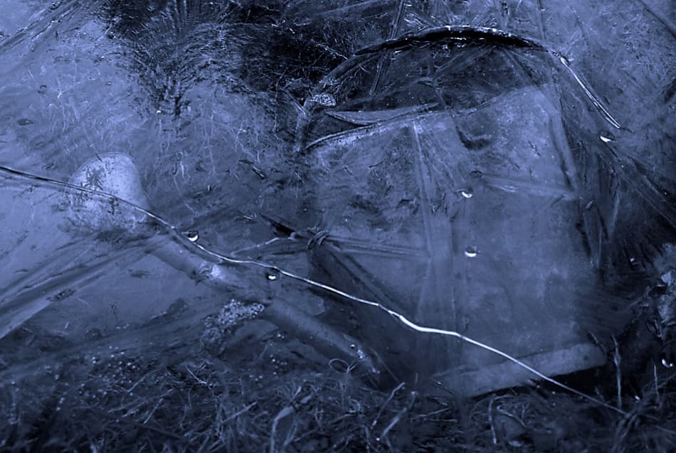Frozen Garden Blues by Allan Wallberg — canvas wall art