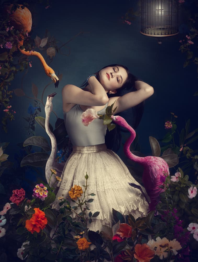 Enchanted Flamingo Dream by Svetlana Melik-Nubarova — canvas wall art