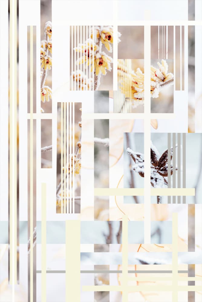 Frosted Winter Bloom by Pelin Atilla — canvas wall art