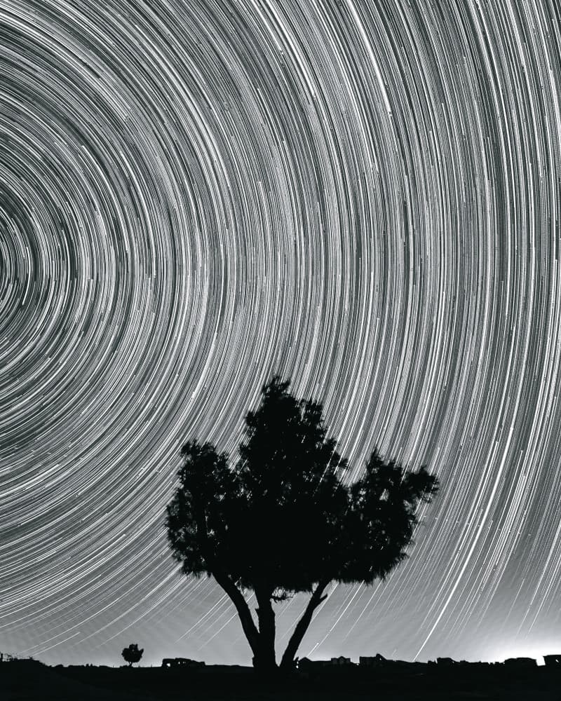 Spinning Stars Lone Tree by Abdullah Abuzaid — canvas wall art