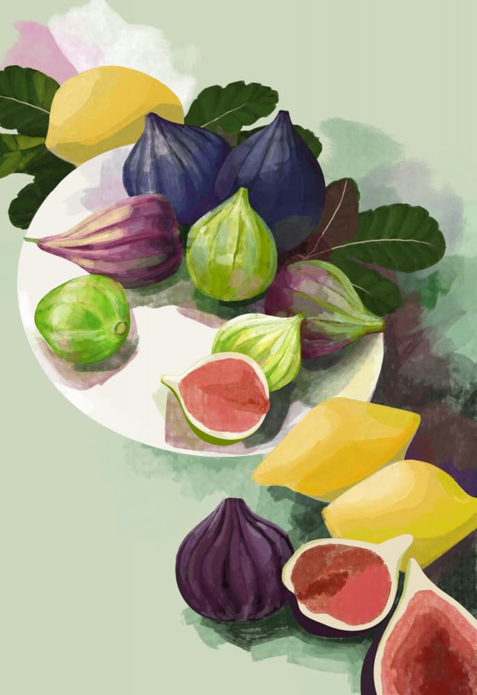 Colorful Figs And Lemons by Rosana Laiz Blursbyai — canvas wall art