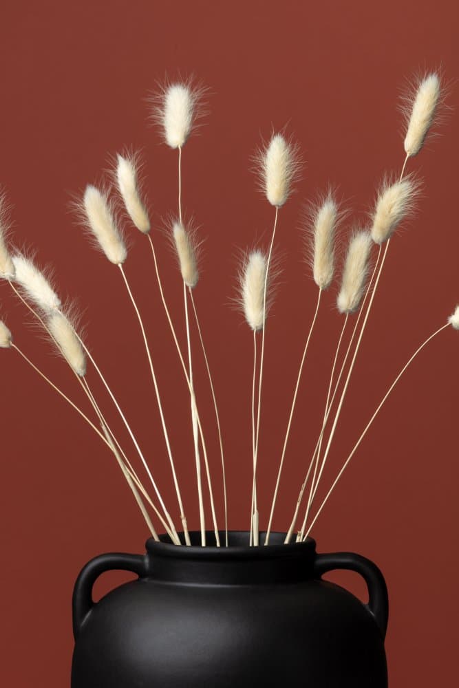 Earthy Fluffy Stems by Pictufy Studio III — canvas wall art