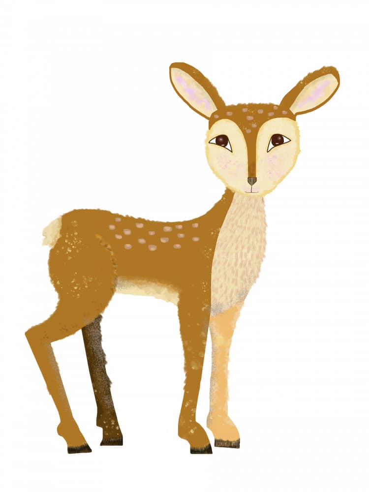 Sweet Spotted Fawn by Lynnda Rakos — canvas wall art