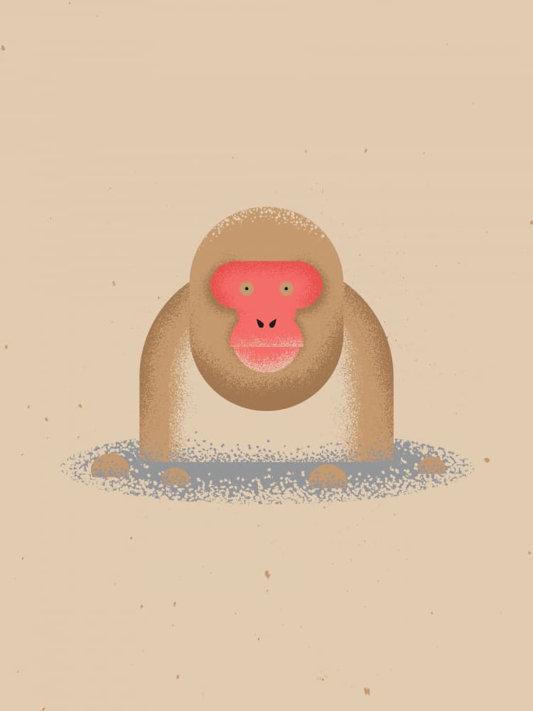 Snow Monkey Hot Spring by The Creating Mind — canvas wall art