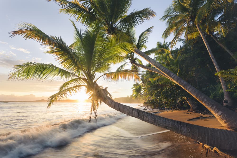 Paradise Shore by Stefan Hefele — canvas wall art