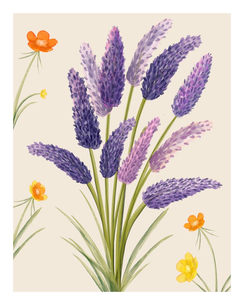 Lavender Dreams by Emel Tunaboylu — canvas wall art