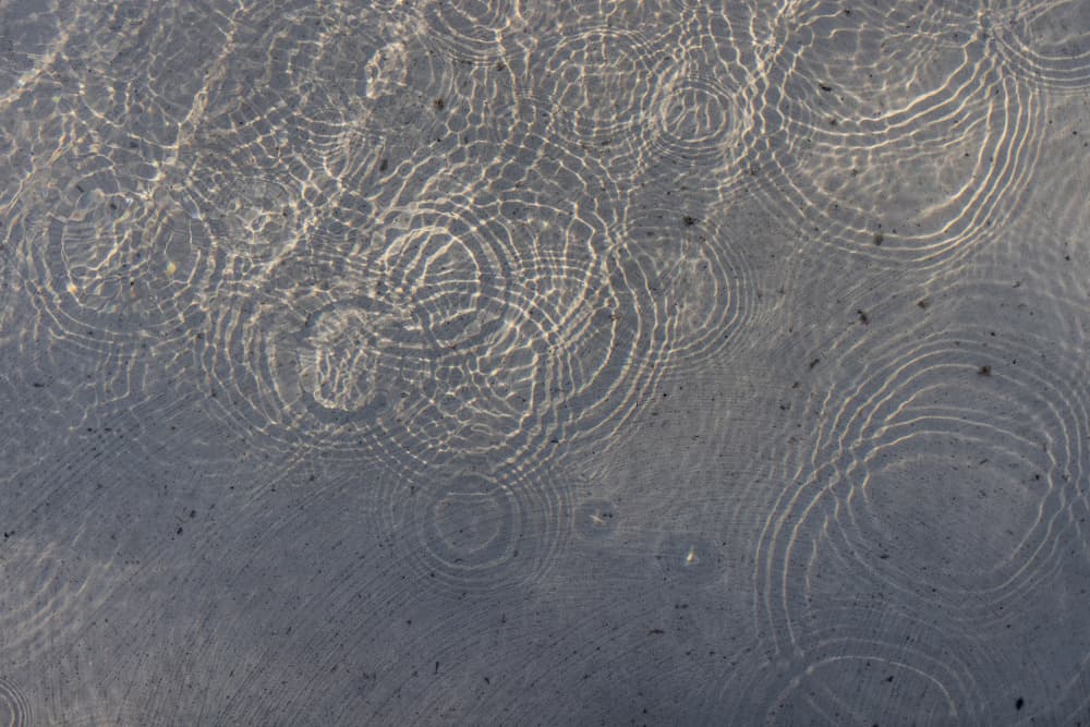 Sunlit Water Patterns by Mareike Böhmer — canvas wall art