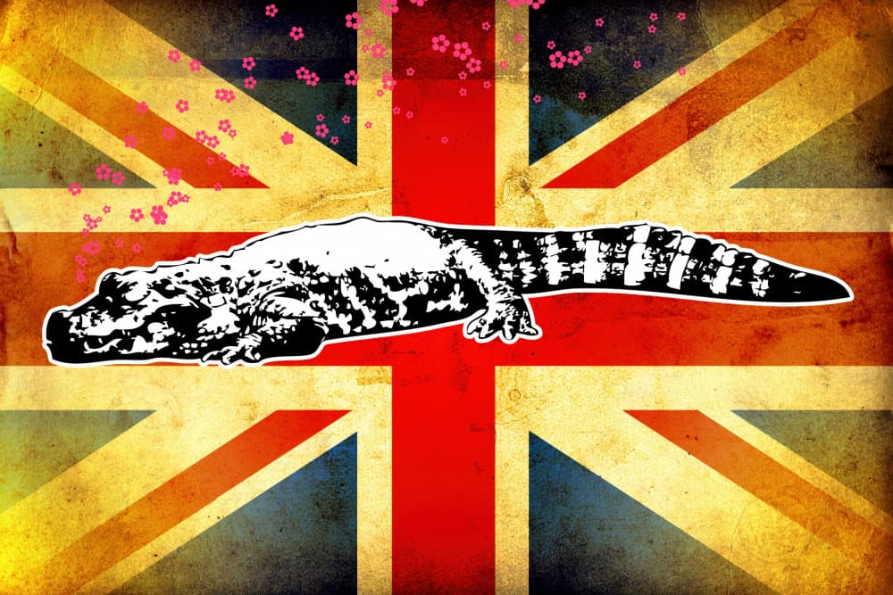 British Alligator Blossom by Rafal Kulik — canvas wall art