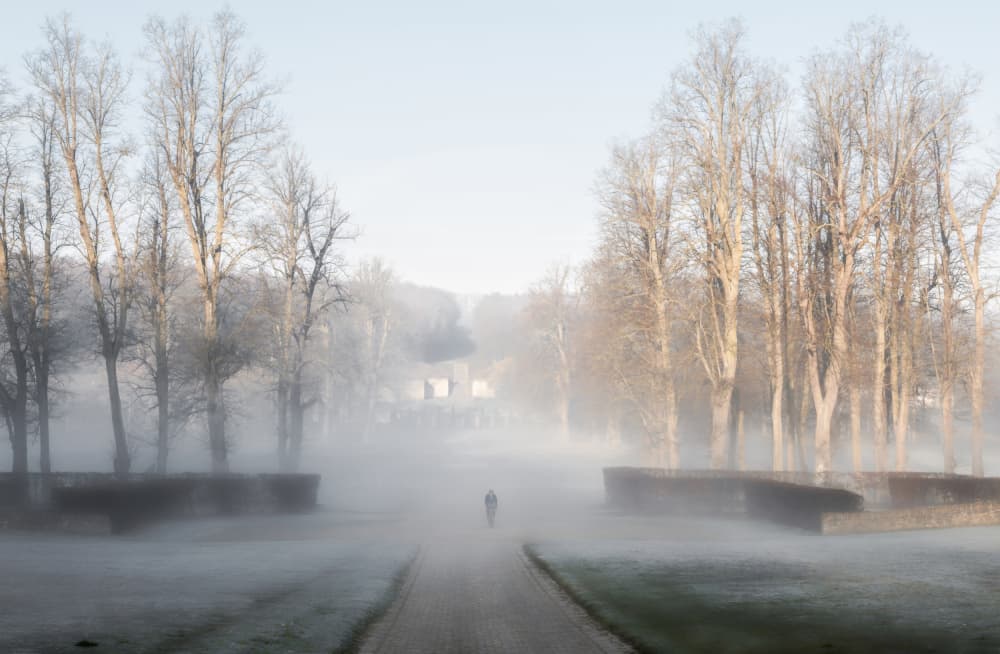 Misty Morning Path by Isabelle DUPONT — canvas wall art