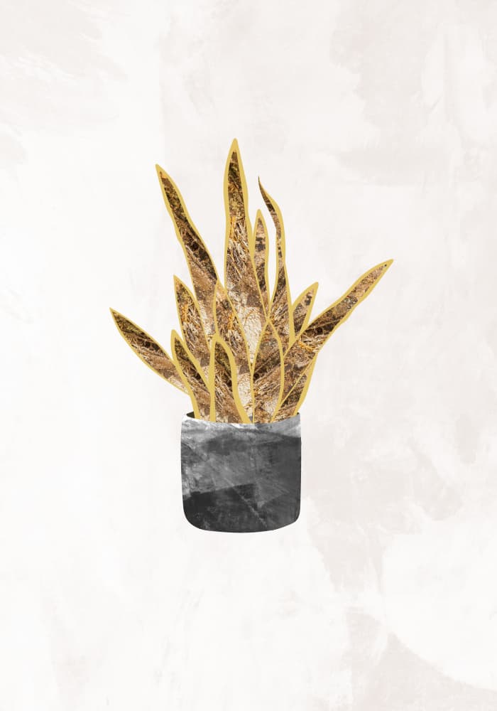Modern Golden Plant by Sarah Manovski — canvas wall art
