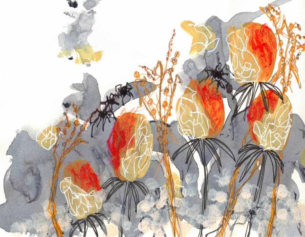 Orange Banksia with Spiders by Lori Ann Folz — canvas wall art
