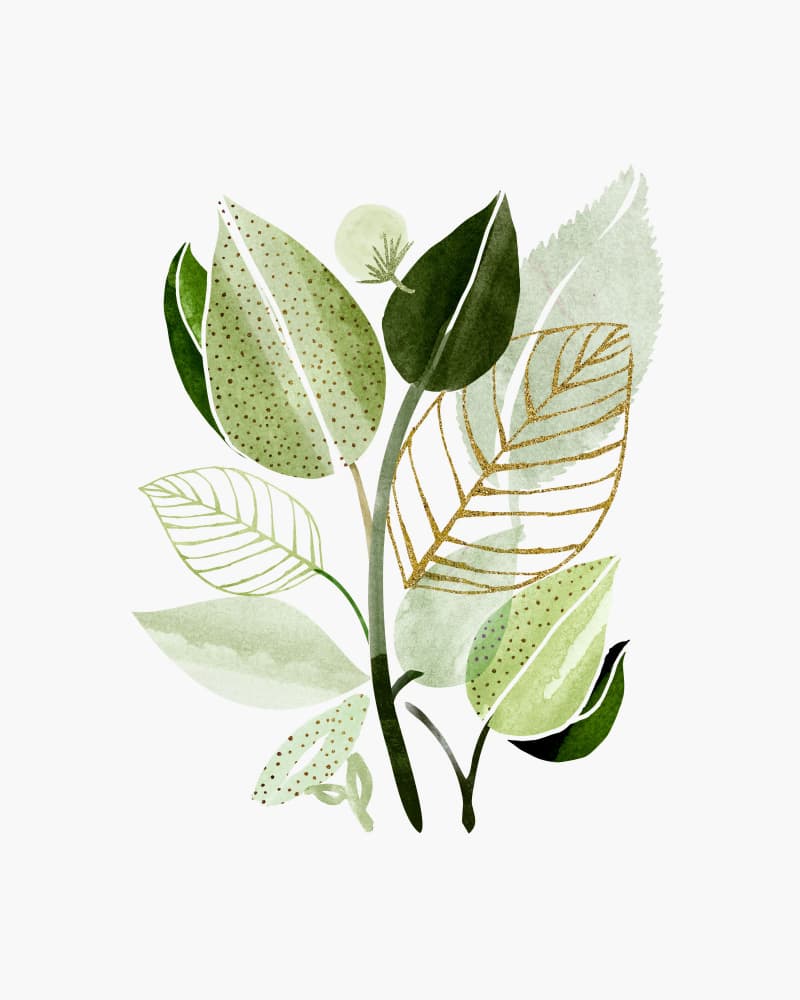 Forest Bouquet Collage 1 by Kristian Gallagher — canvas wall art