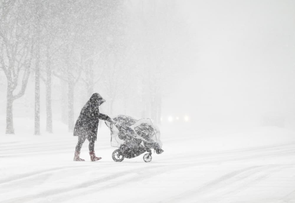 Parent In Winter Storm by Emma Zhao — canvas wall art
