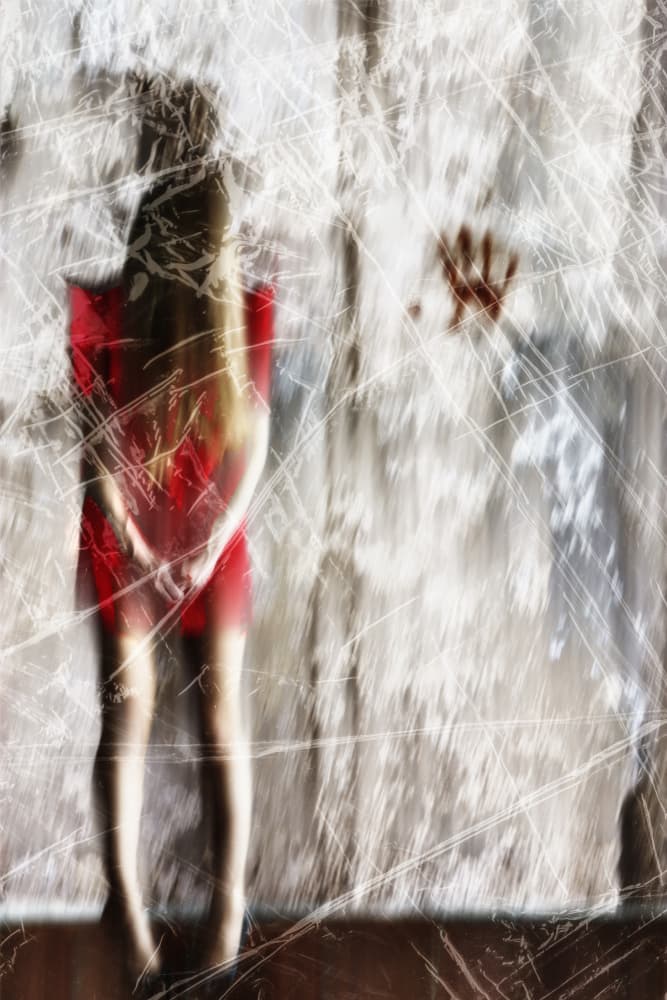 Mysterious Red Dress by Dusan Ignac — canvas wall art