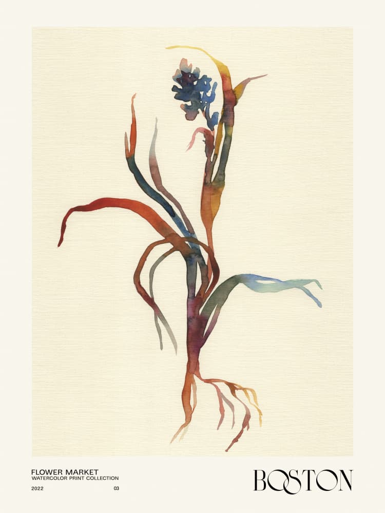 Watercolor print collection. Flower market - Boston by NKTN — canvas wall art