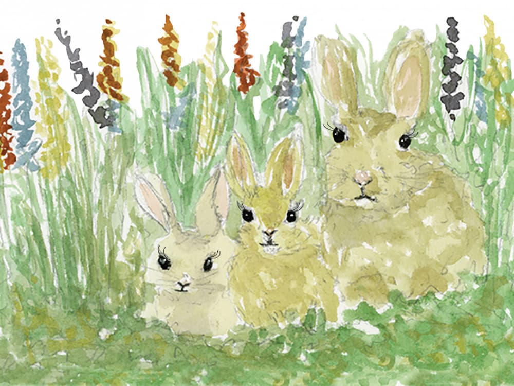 Spring Rabbit Family by Breanna Megan Studio — canvas wall art