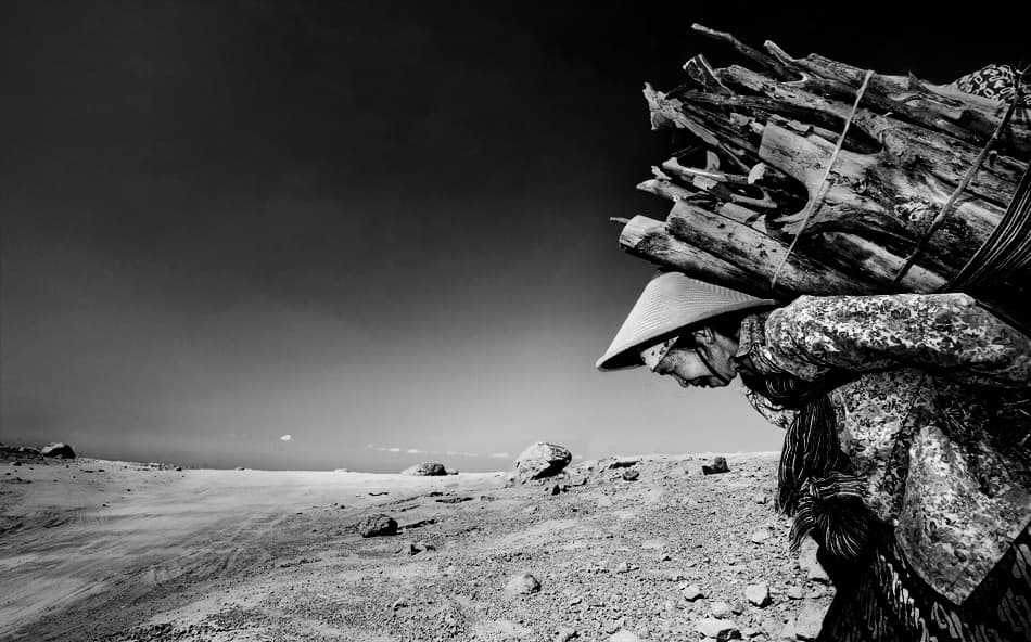 Woman Carrying Desert Firewood by Sebastian Kisworo — canvas wall art