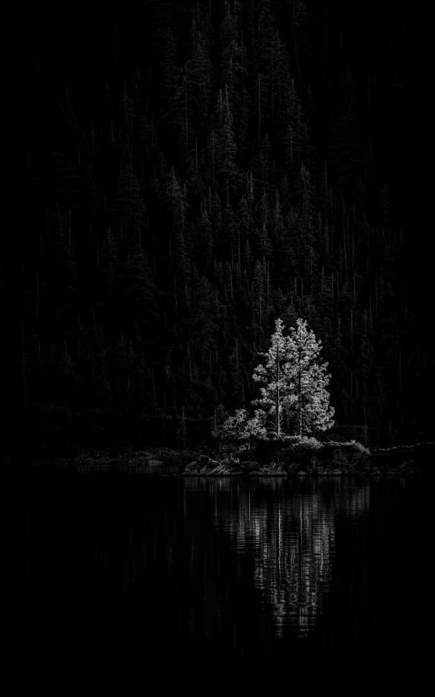 Dark Forest Reflection by Frank W. — canvas wall art