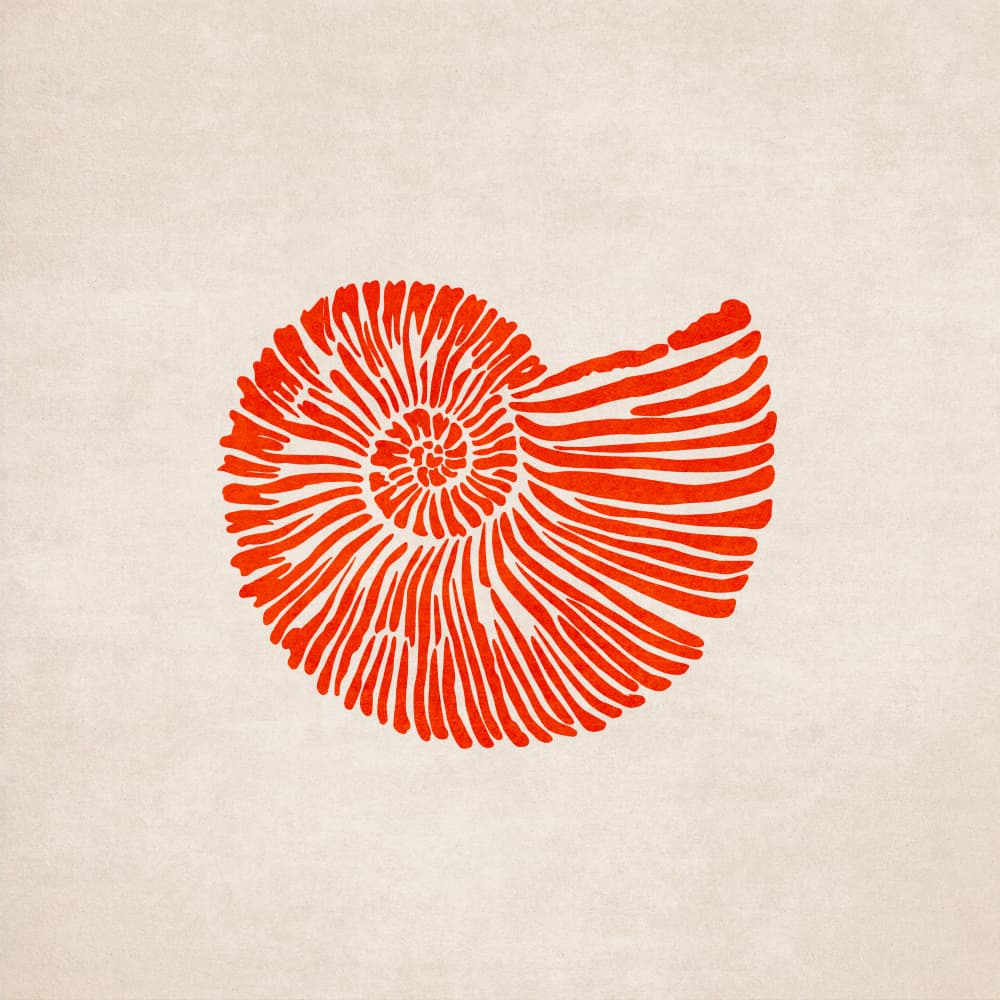 Spiraled Essence by Emel Tunaboylu — canvas wall art