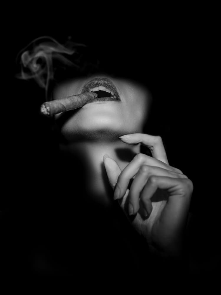 Elegant Cigar Smoke by Martin Lee — canvas wall art