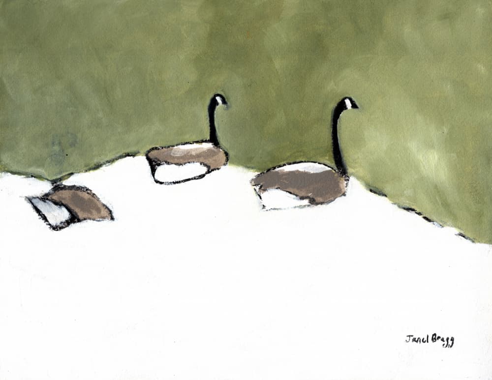 Peaceful Winter Geese