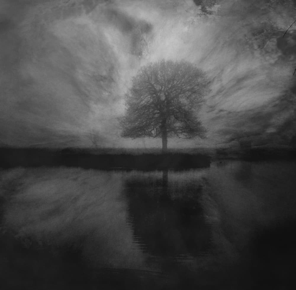 Solitary Tree Reflection by Robert Fabrowski — canvas wall art