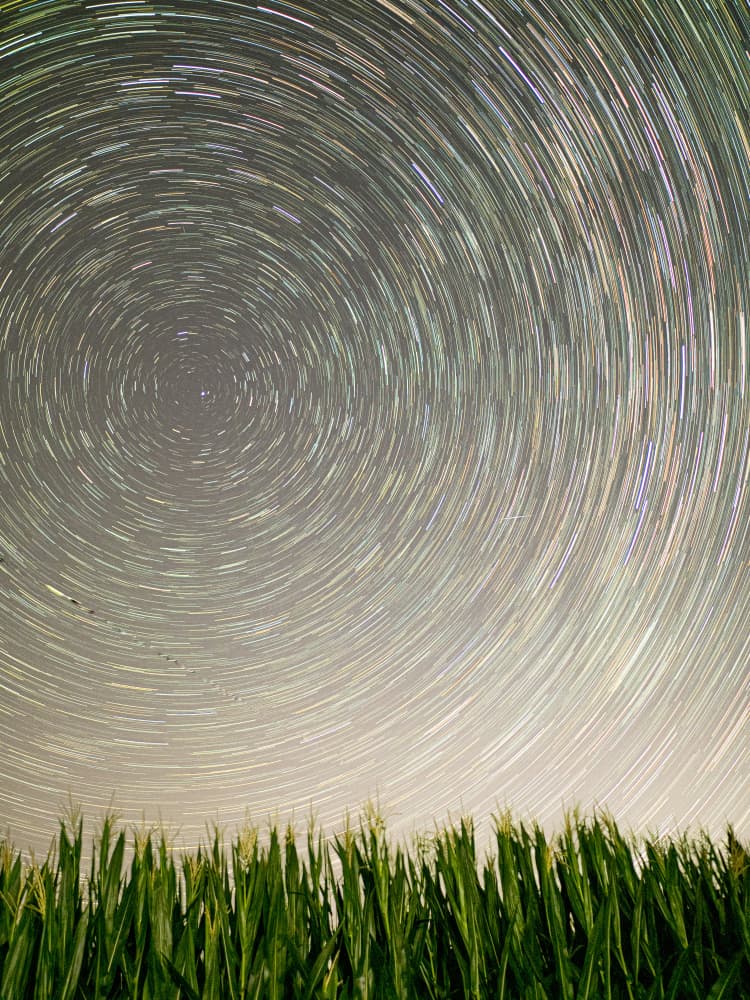 Star Trails Over Cornfield by Lorenzo Luca Andriani — canvas wall art