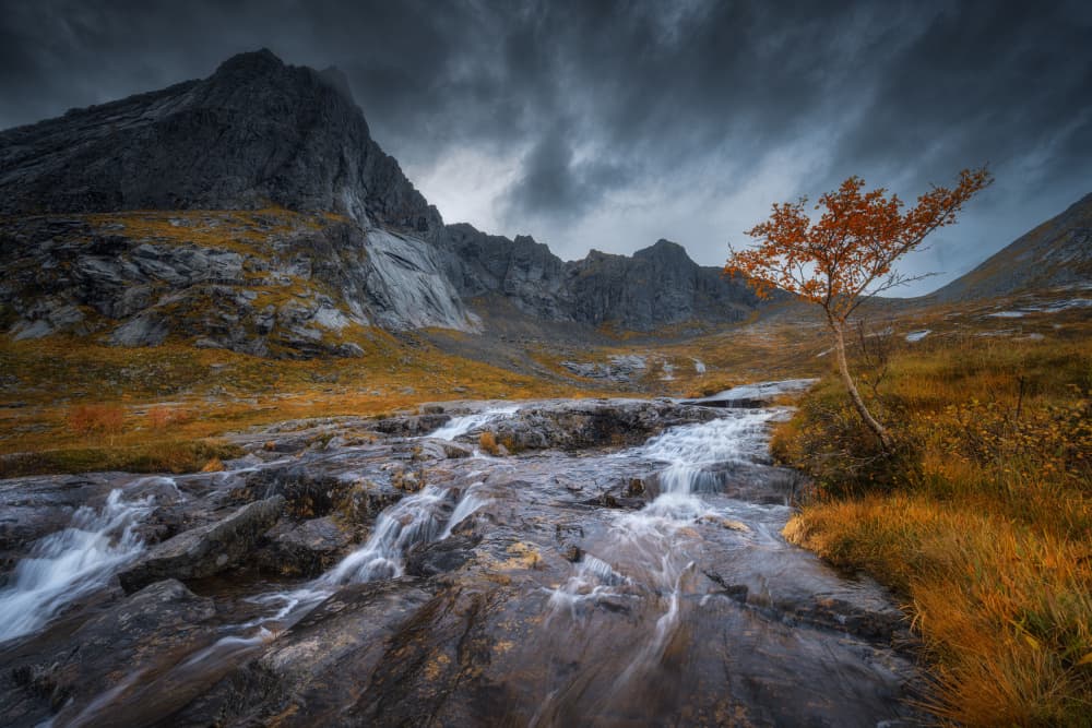 Dramatic Autumn Stream by Adam Pachula — canvas wall art
