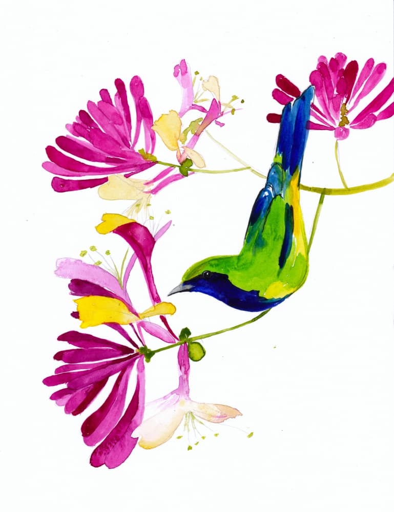 Colorful Bird Honeysuckle by Christine Lindstrom — canvas wall art