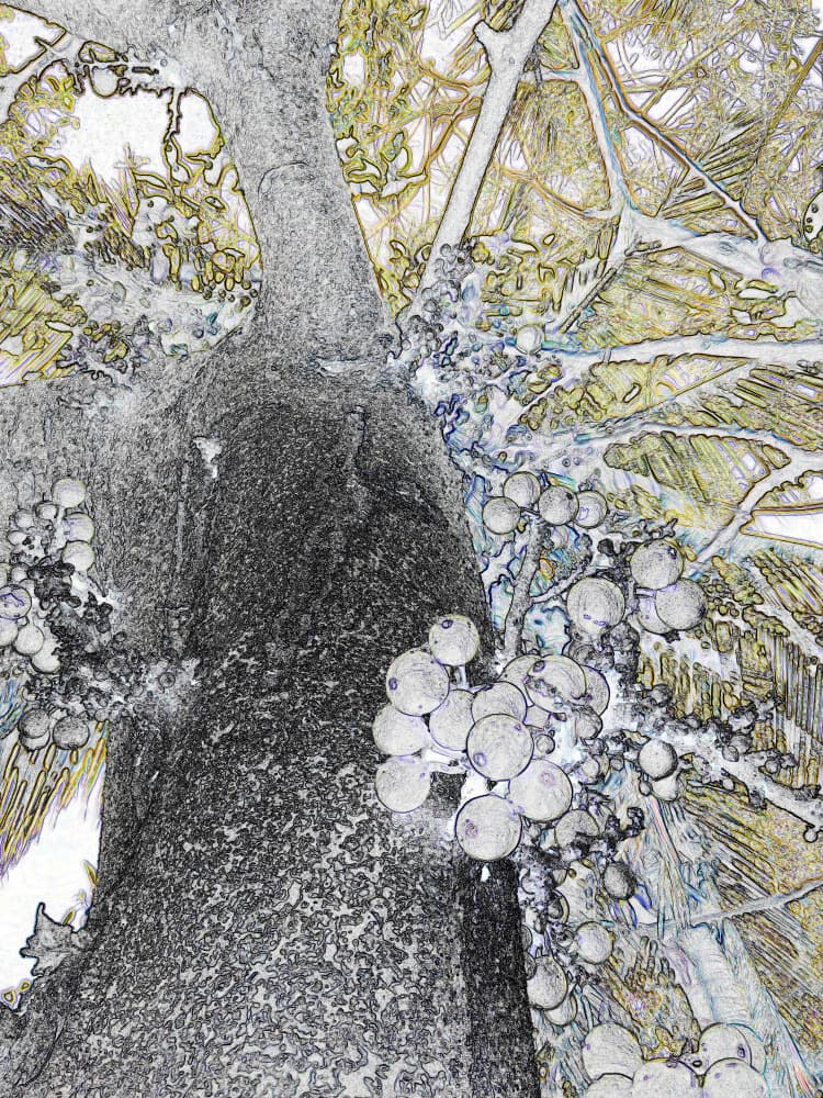 Textured Tree Fruit Sketch by Santhosh ch — canvas wall art