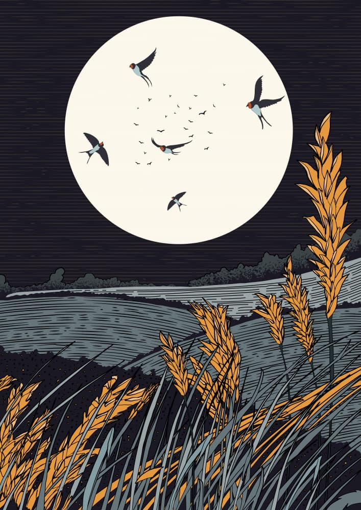Swallows Over Moonlit Field by Nicholas — canvas wall art