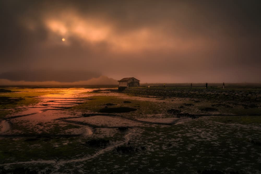 Golden Marsh House Glow by Jesus Concepcion Alvarado — canvas wall art