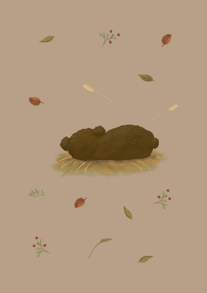 Cozy Bear Cub Nap by Aminah Eleonora — canvas wall art