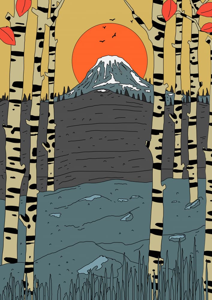 Autumn Birch Mountain Sun by Nicholas — canvas wall art