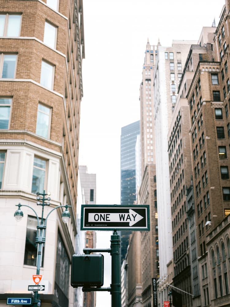 Fifth Avenue New York by Raisa Zwart — canvas wall art