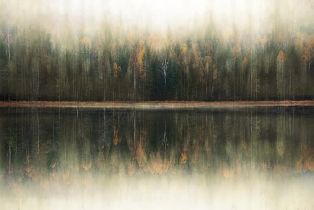 Misty Forest Reflection