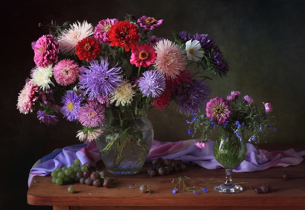 Vibrant Aster Still Life by Tatyana Skorokhod — canvas wall art