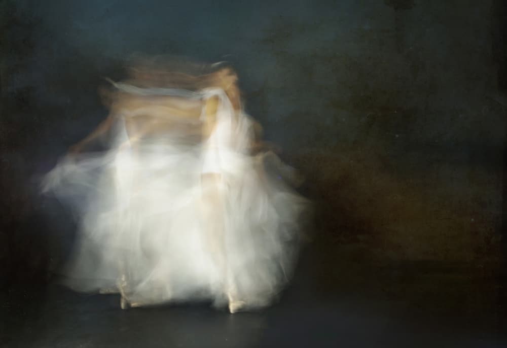 Ethereal Ballet Motion by Rachel Pansky — canvas wall art