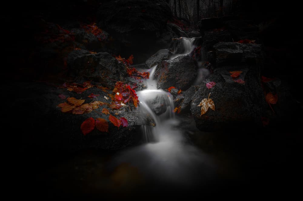 Dark Forest Fall Cascade by Alessandro Traverso — canvas wall art