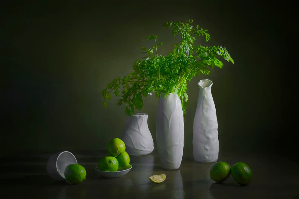Modern Lime Still Life by Lydia Jacobs — canvas wall art
