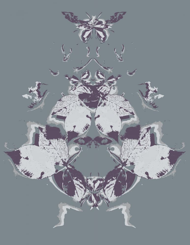Abstract Botanical Symmetry by Michele Frechette — canvas wall art
