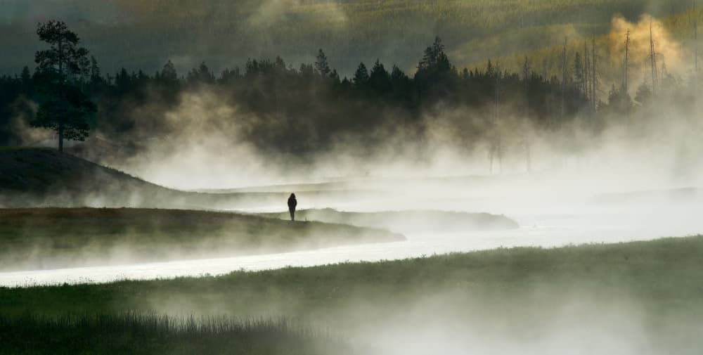 Misty Morning River Walk by Peter Paterson — canvas wall art