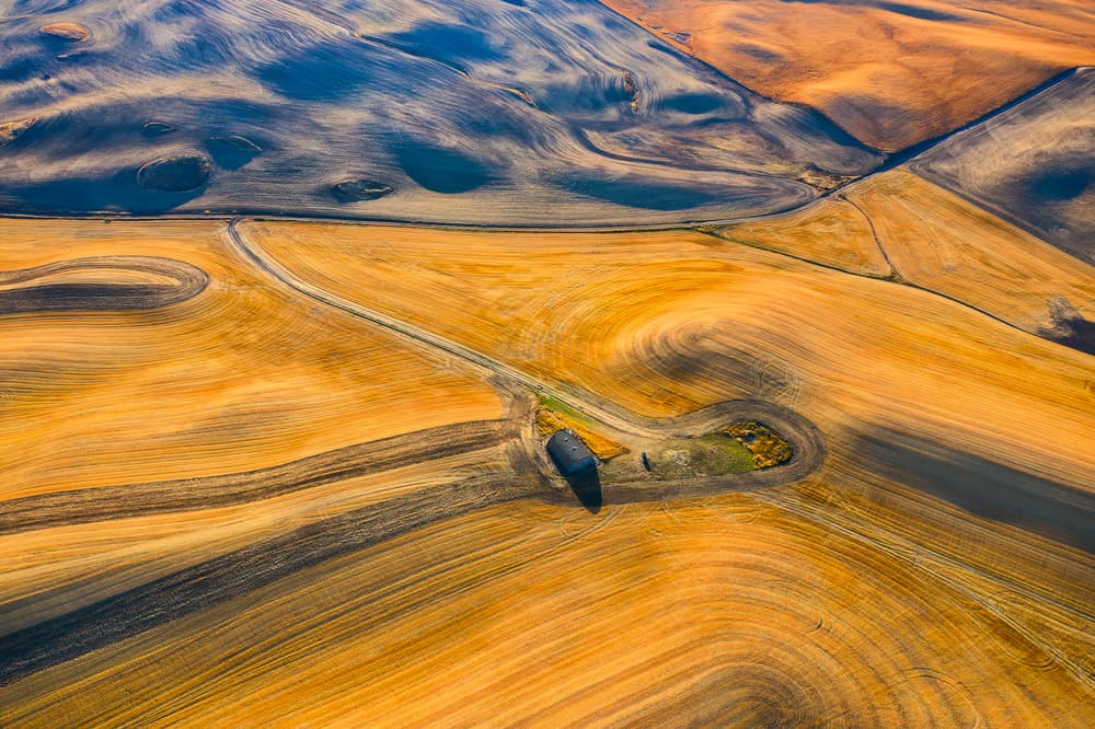 Rolling Golden Fields by John Fan — canvas wall art